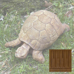 Campania Turtle