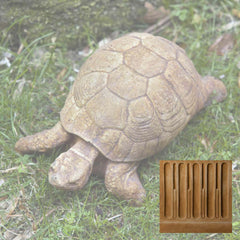 Campania Turtle