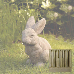 Campania Rabbit Ears Up