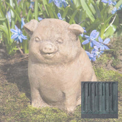 Campania Piglet