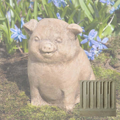 Campania Piglet