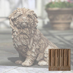 Campania Fluffy Dog