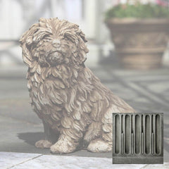 Campania Fluffy Dog