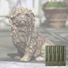 Campania Fluffy Dog