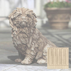 Campania Fluffy Dog