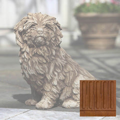 Campania Fluffy Dog
