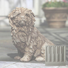 Campania Fluffy Dog