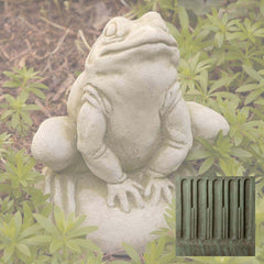 Campania Frankie Frog