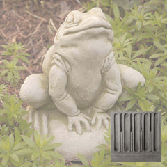 Campania Frankie Frog