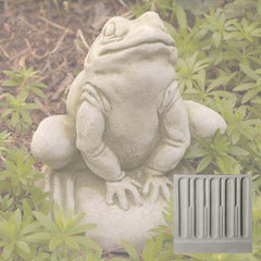 Campania Frankie Frog