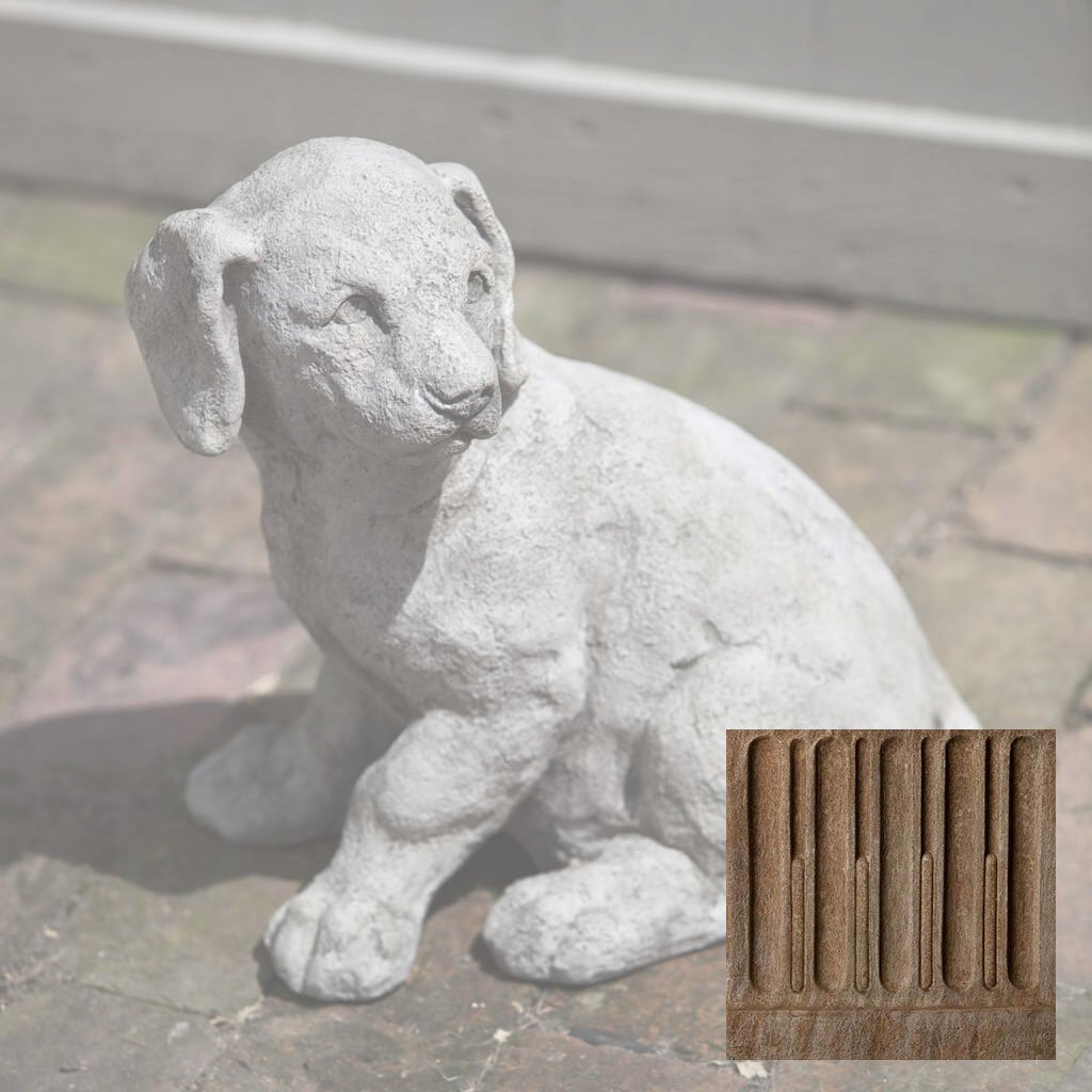 Campania Lab Pup