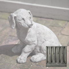 Campania Lab Pup