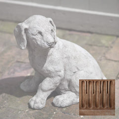 Campania Lab Pup