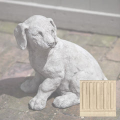 Campania Lab Pup