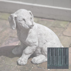 Campania Lab Pup