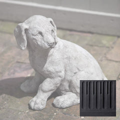 Campania Lab Pup