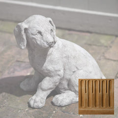 Campania Lab Pup