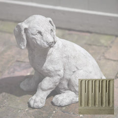 Campania Lab Pup