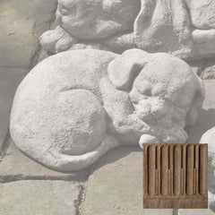 Campania Curled Dog Small