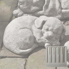 Campania Curled Dog Small