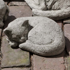 Campania Curled Cat Small
