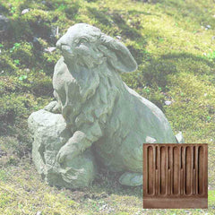 Campania Rabbit on a Rock
