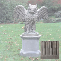 Campania Soaring Owl