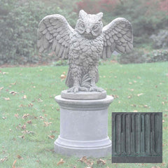 Campania Soaring Owl