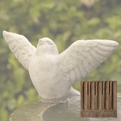 Campania Flutter