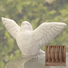 Campania Flutter