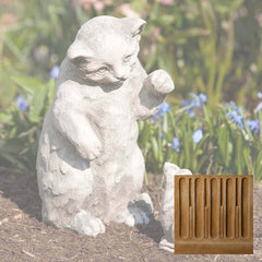 Campania Playful Kitten