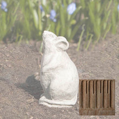 Campania Mousie