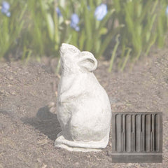 Campania Mousie