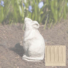 Campania Mousie