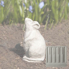 Campania Mousie