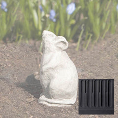 Campania Mousie