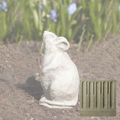 Campania Mousie