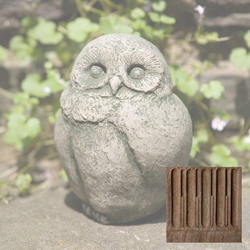 Campania Baby Barn Owl