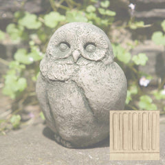 Campania Baby Barn Owl