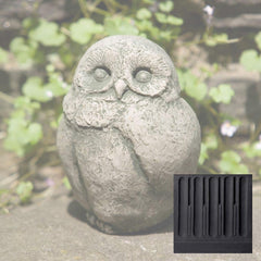 Campania Baby Barn Owl