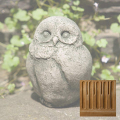 Campania Baby Barn Owl