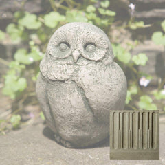 Campania Baby Barn Owl