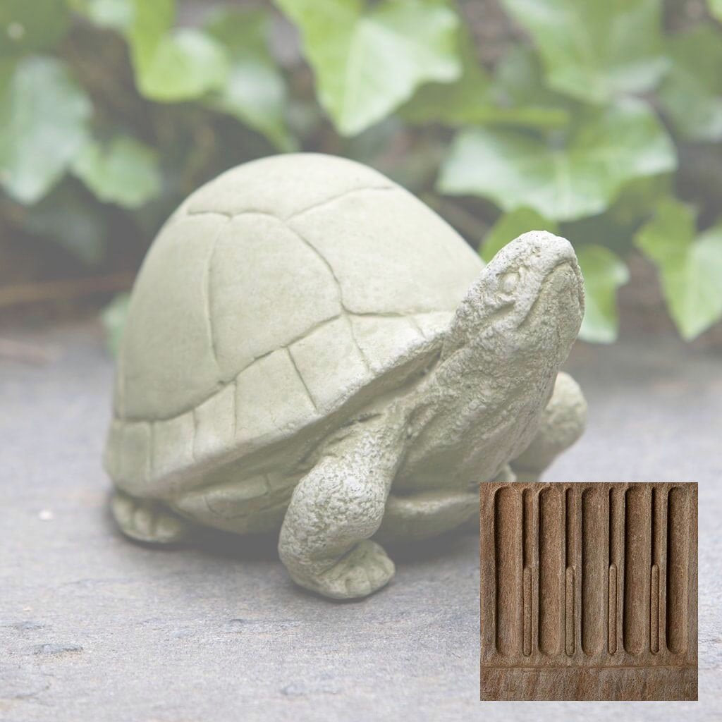 Campania Box Turtle
