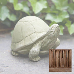 Campania Box Turtle