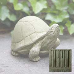 Campania Box Turtle