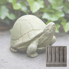 Campania Box Turtle