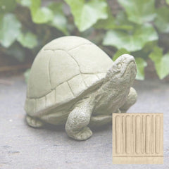 Campania Box Turtle
