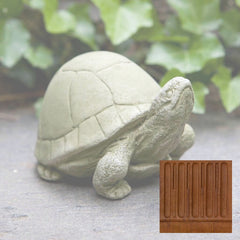 Campania Box Turtle