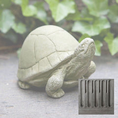 Campania Box Turtle