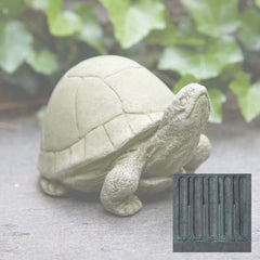 Campania Box Turtle